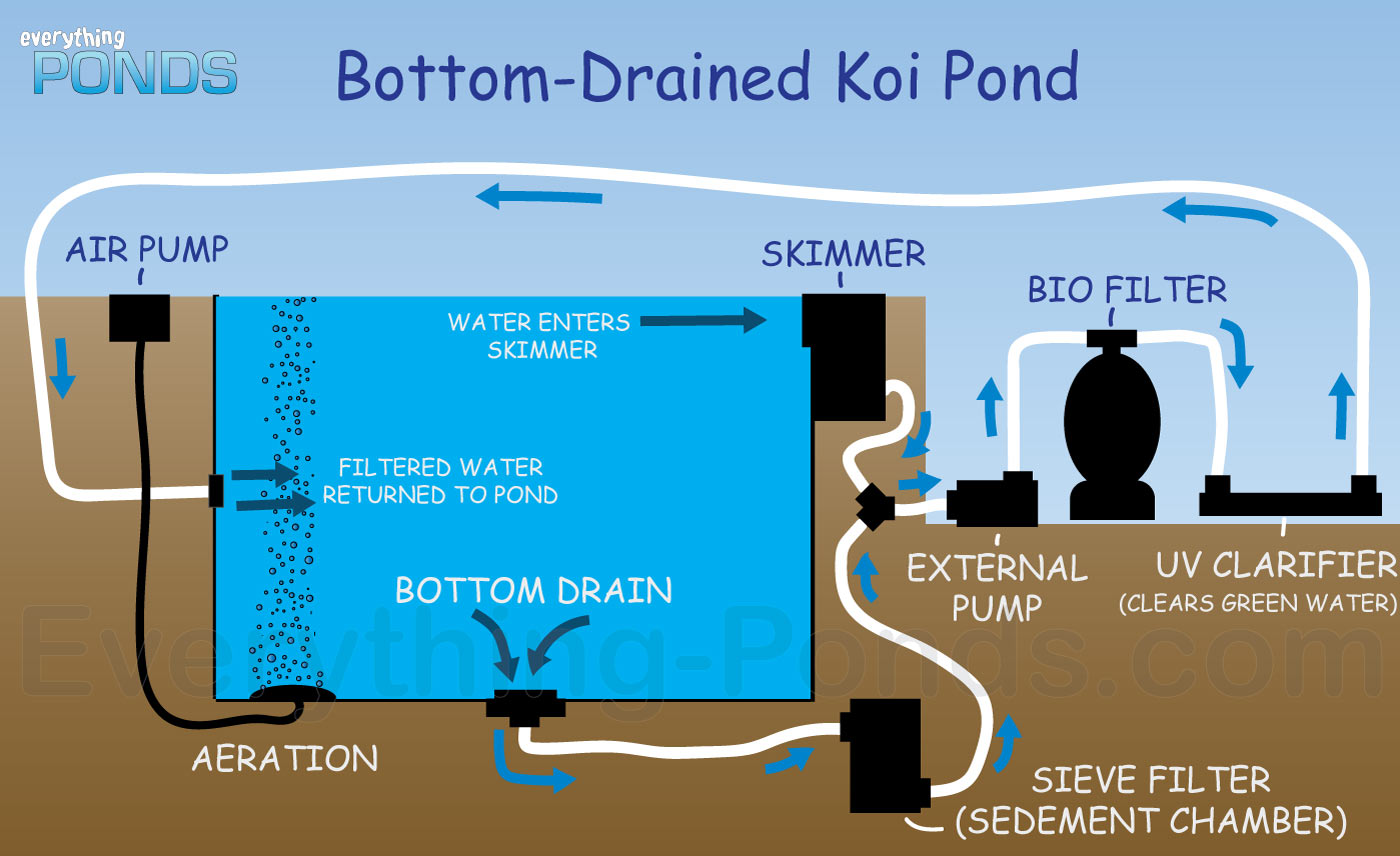 Bottom Drained Koi Pond Bottom Drained Koi Pond