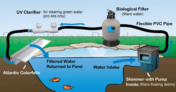 complete pond kits