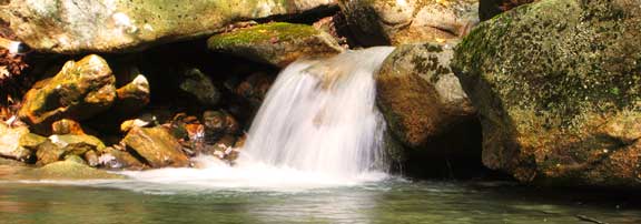 garden pond waterfalls