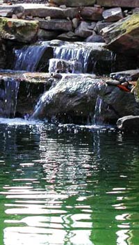 Garden Ponds Waterfalls