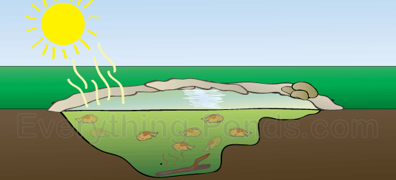 Green Pond Water