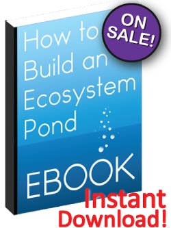 pond design drawing