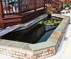 pond designs - above ground