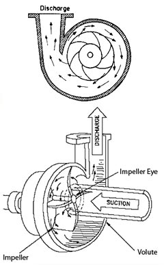 Water Pump Diagram